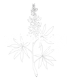 Modern Pastime logo