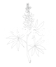 Modern Pastime