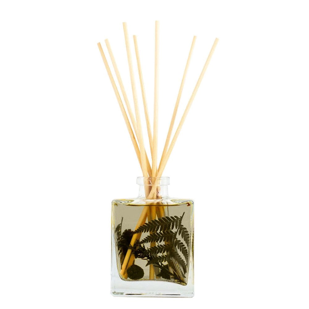 Accent Botanical Reed Diffuser – Modern Pastime
