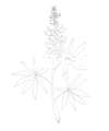 Modern Pastime